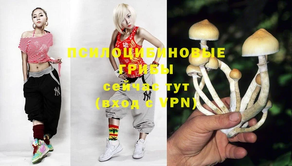 прущий лед Балабаново