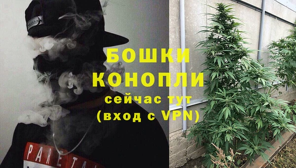тгк Арсеньев